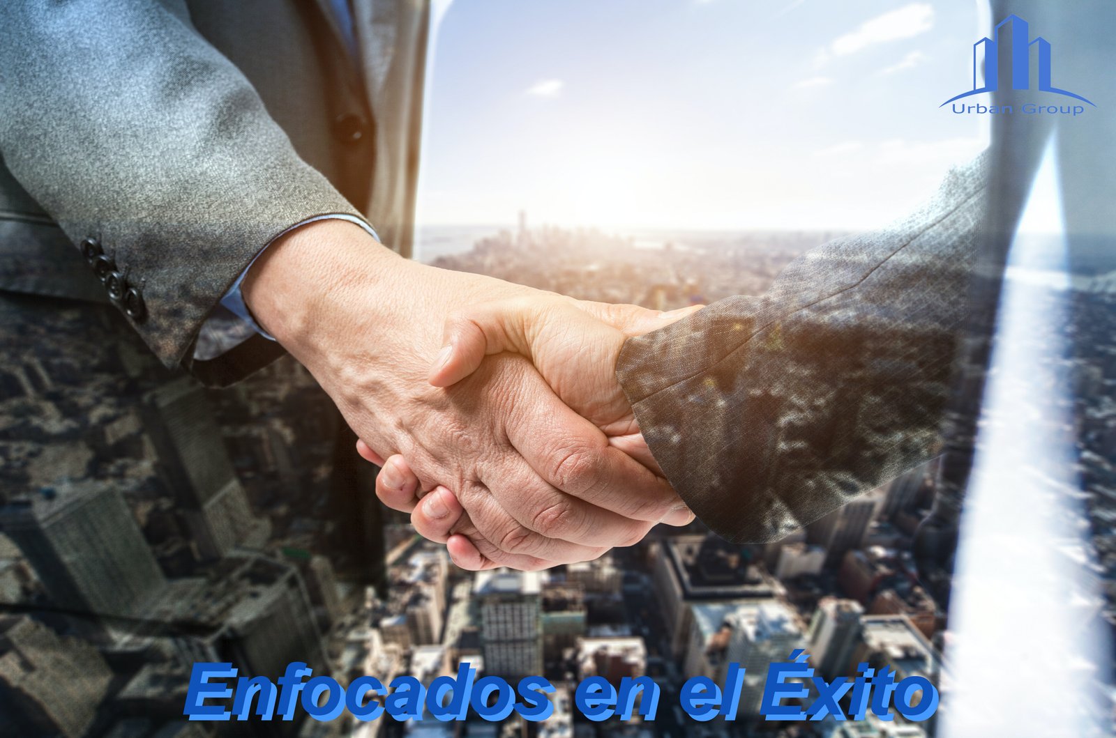 Imagen 6