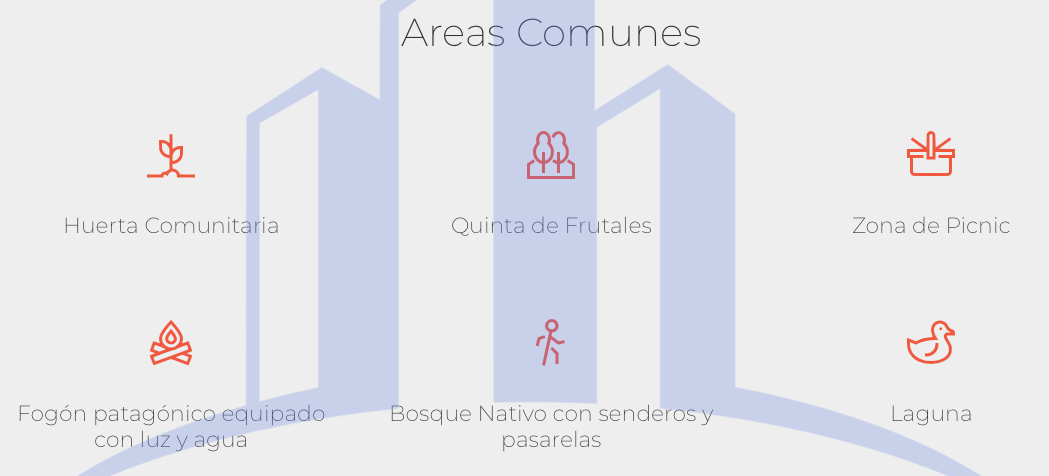 Imagen 16