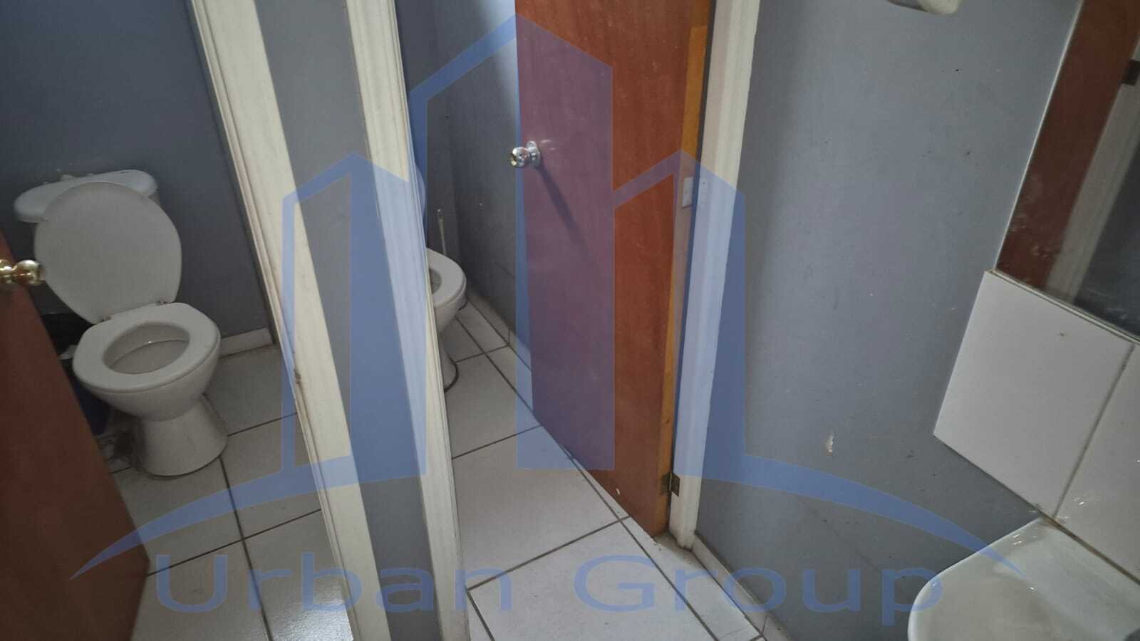 Imagen 15