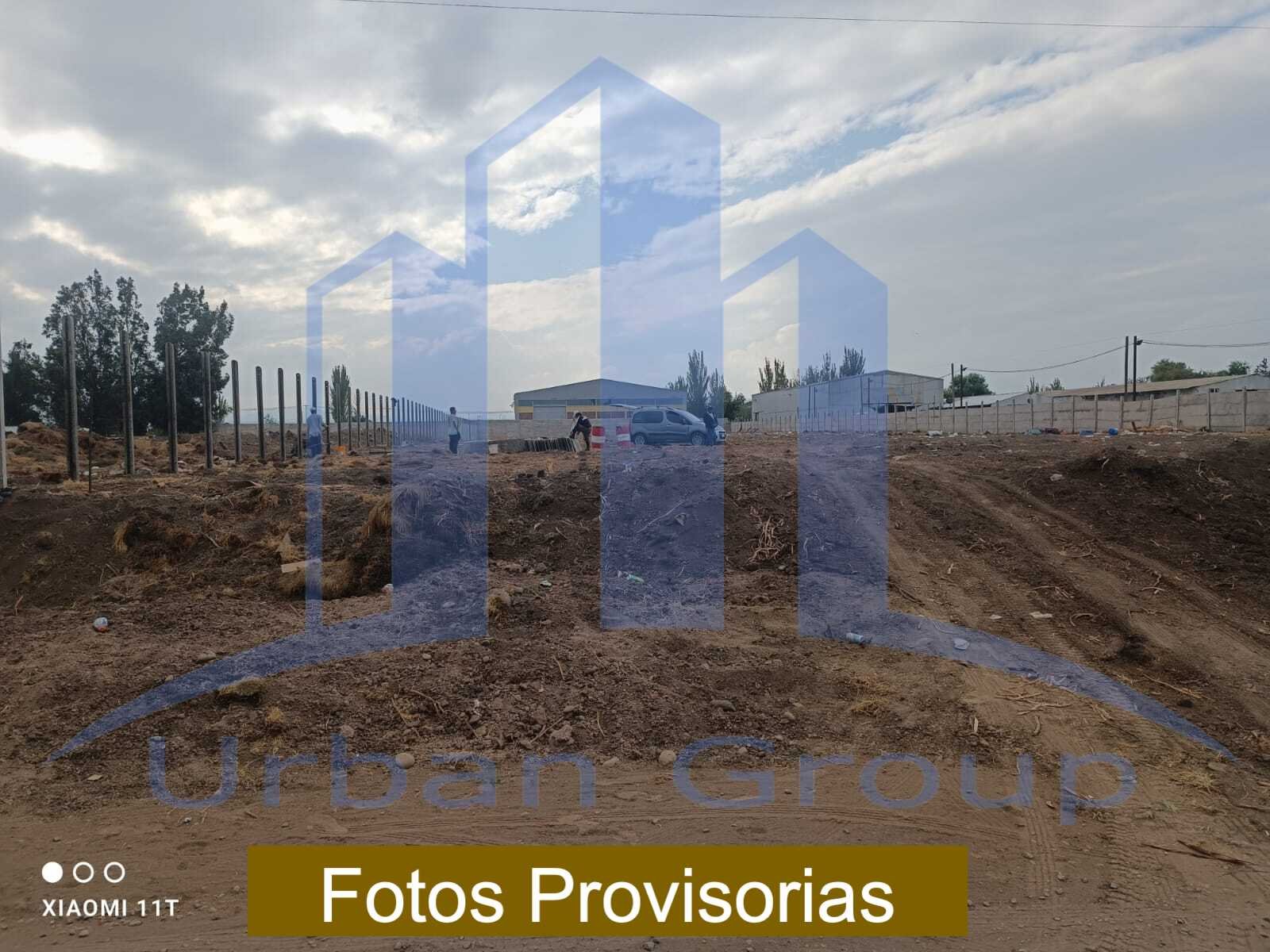Imagen 9