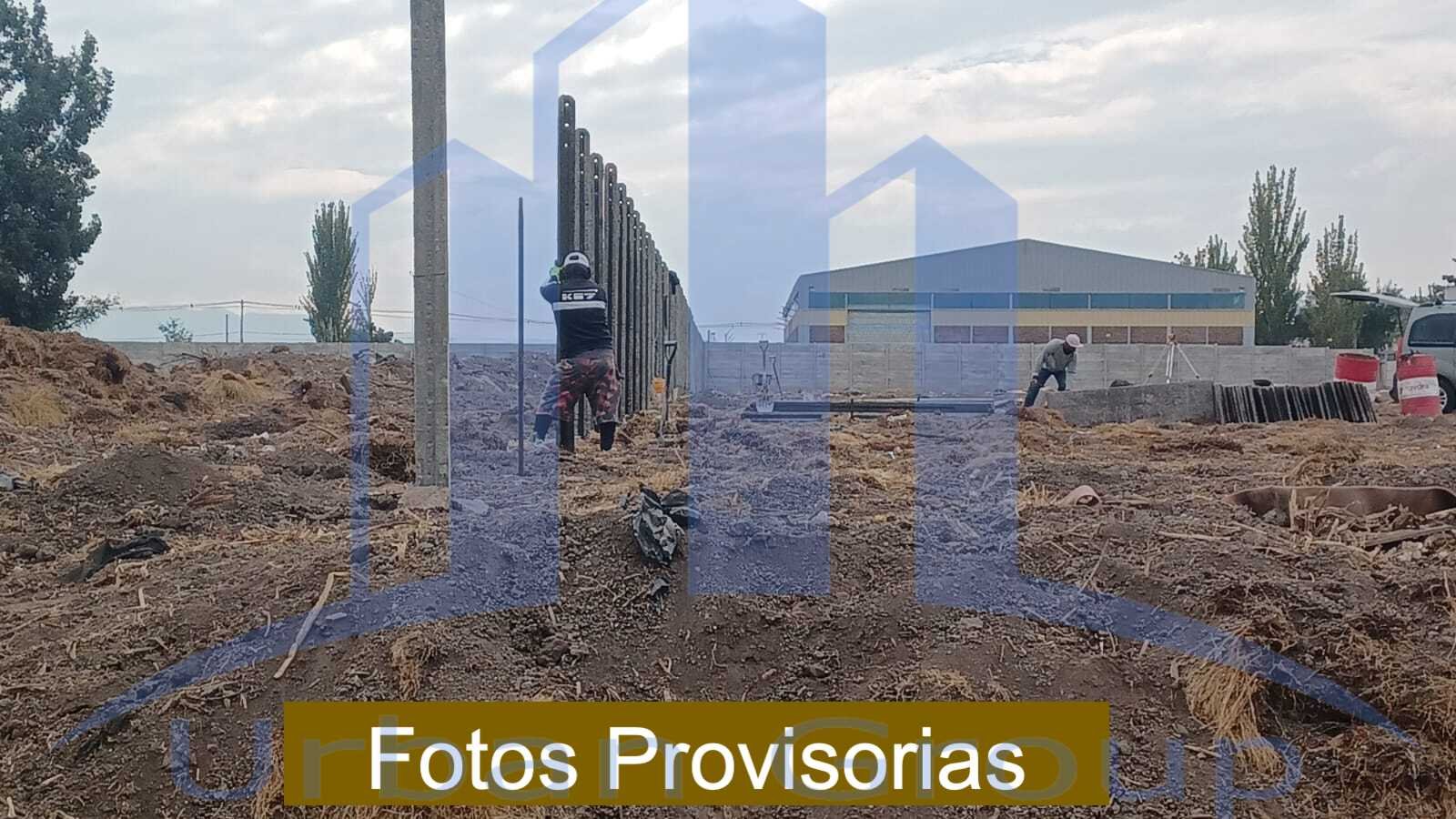 Imagen 5