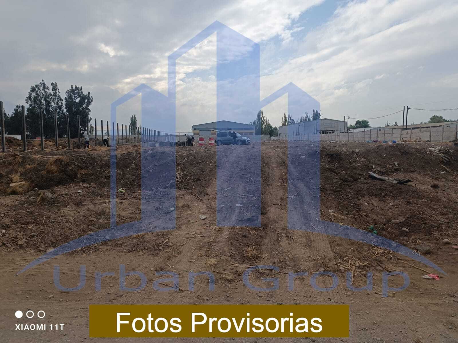 Imagen 7