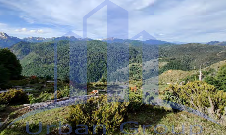 Imagen 5