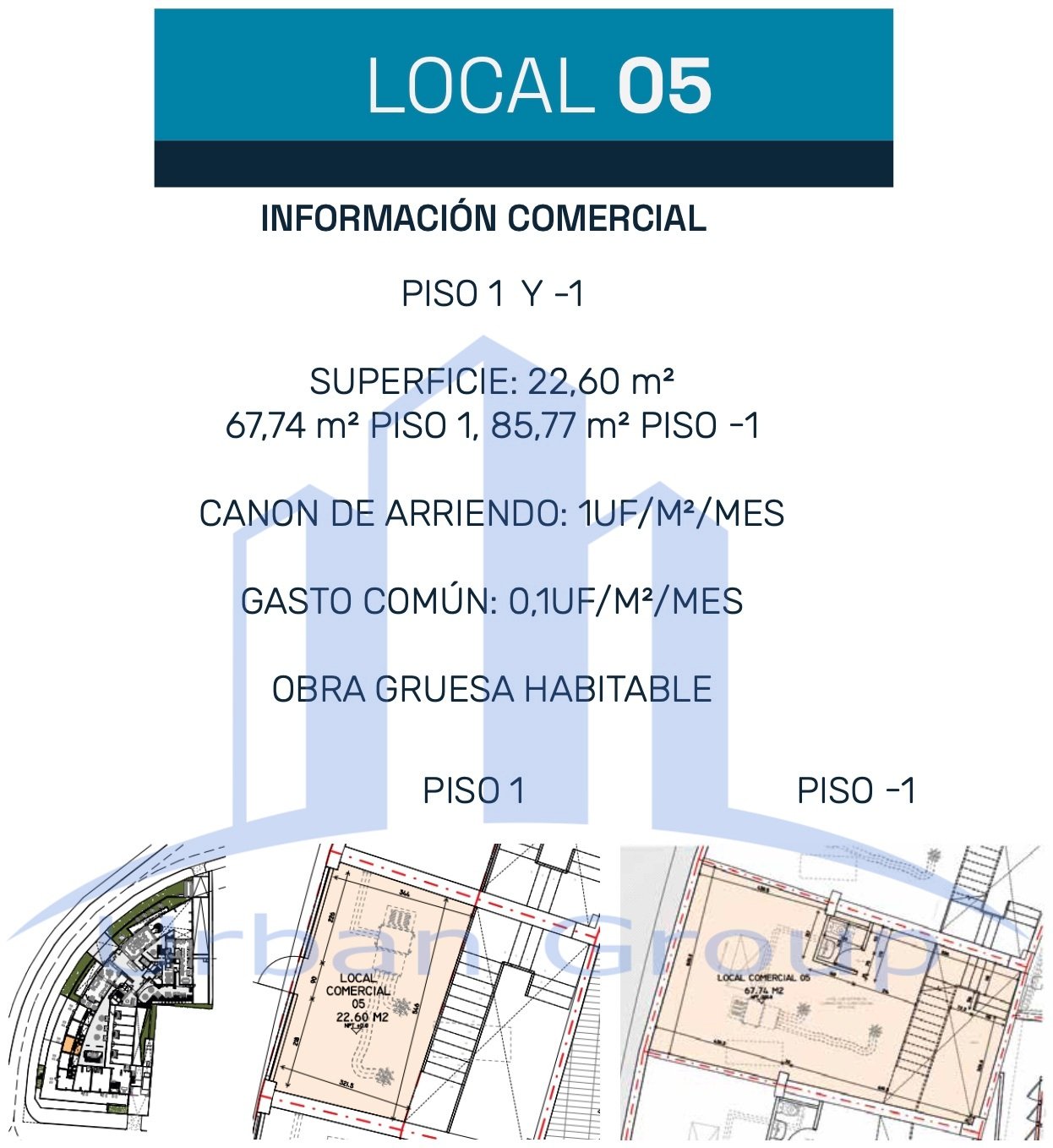 Imagen 5