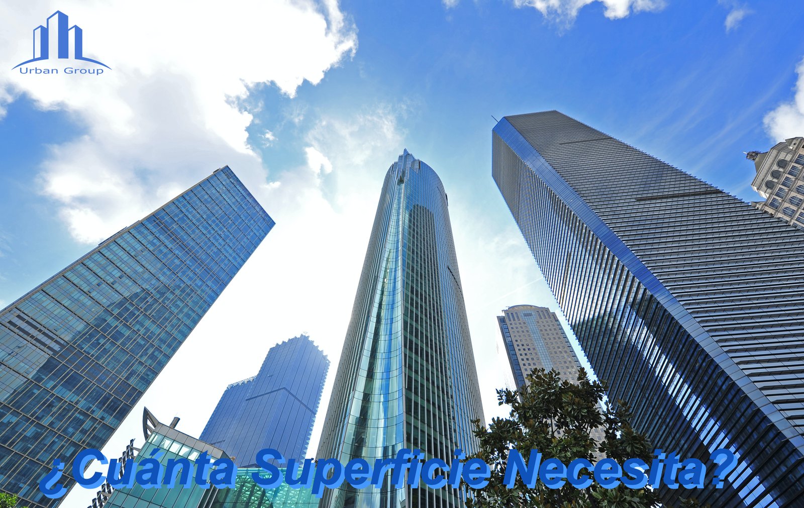 Imagen 11