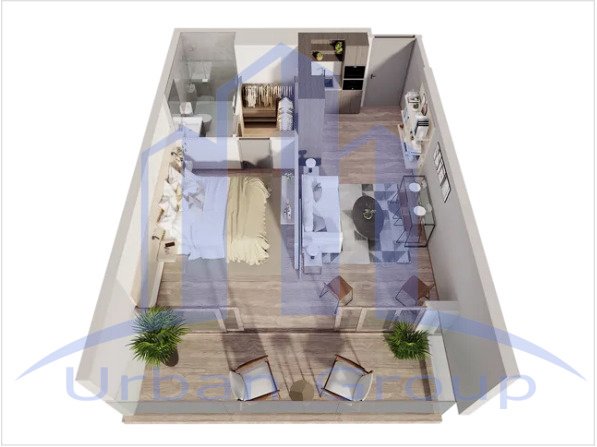 Imagen 11
