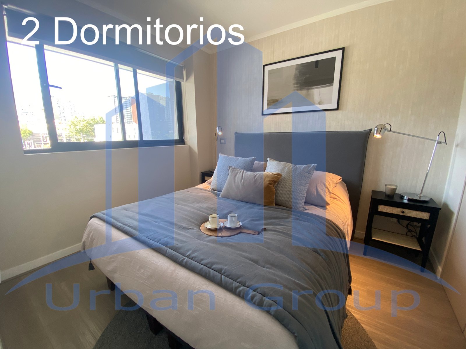 Imagen 8
