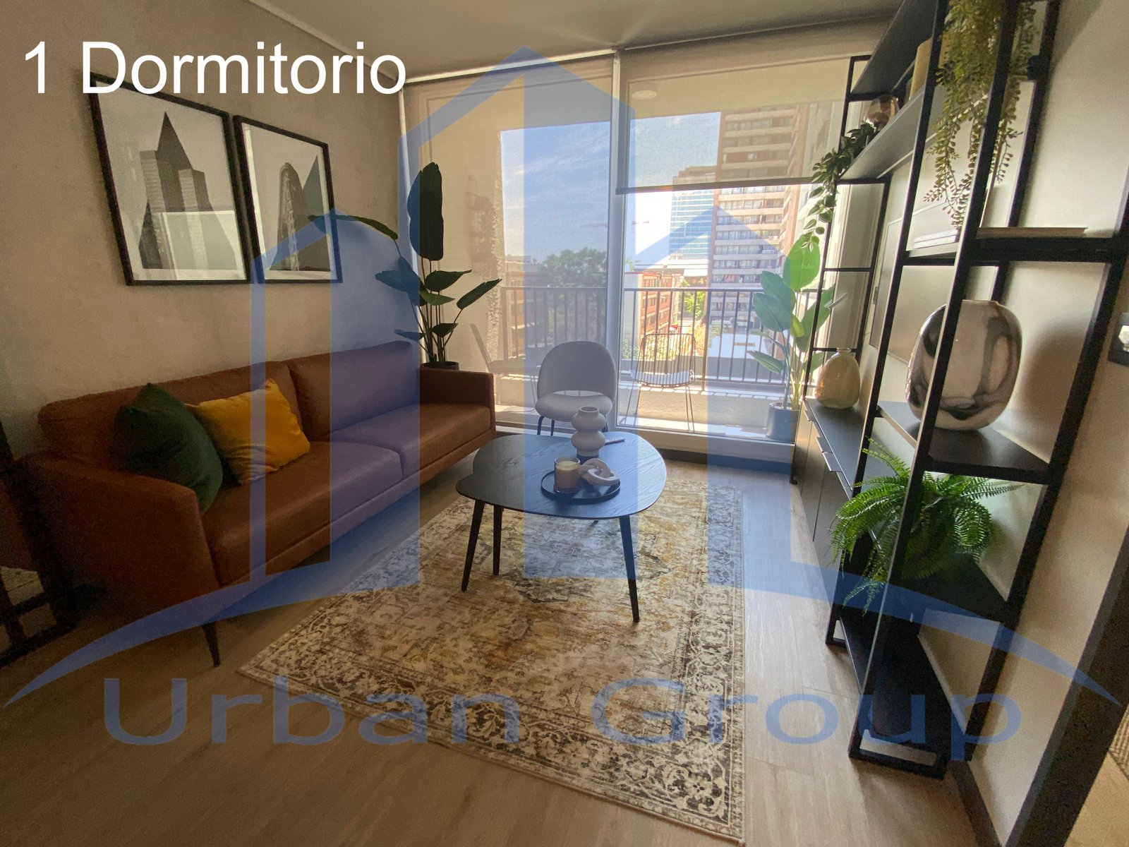 Imagen 8