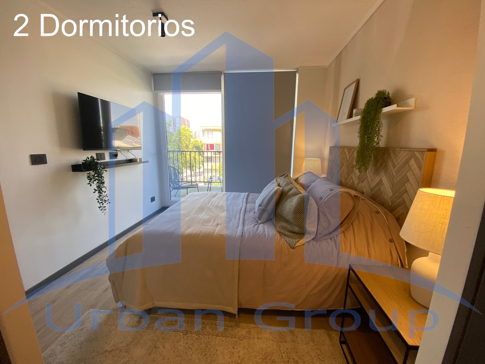 Imagen 2