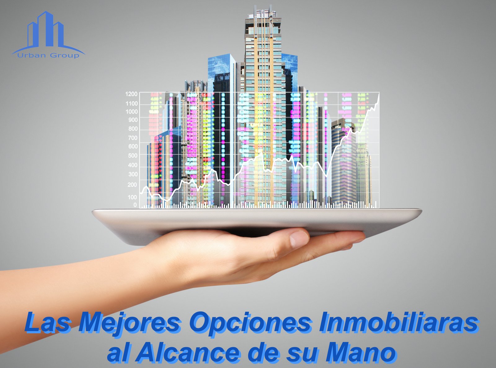 Imagen 19