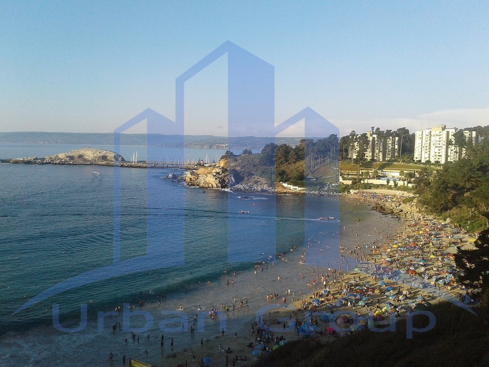 Imagen 20